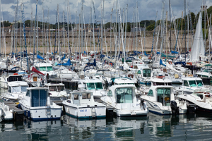 Enlèvement arbre urgence Concarneau